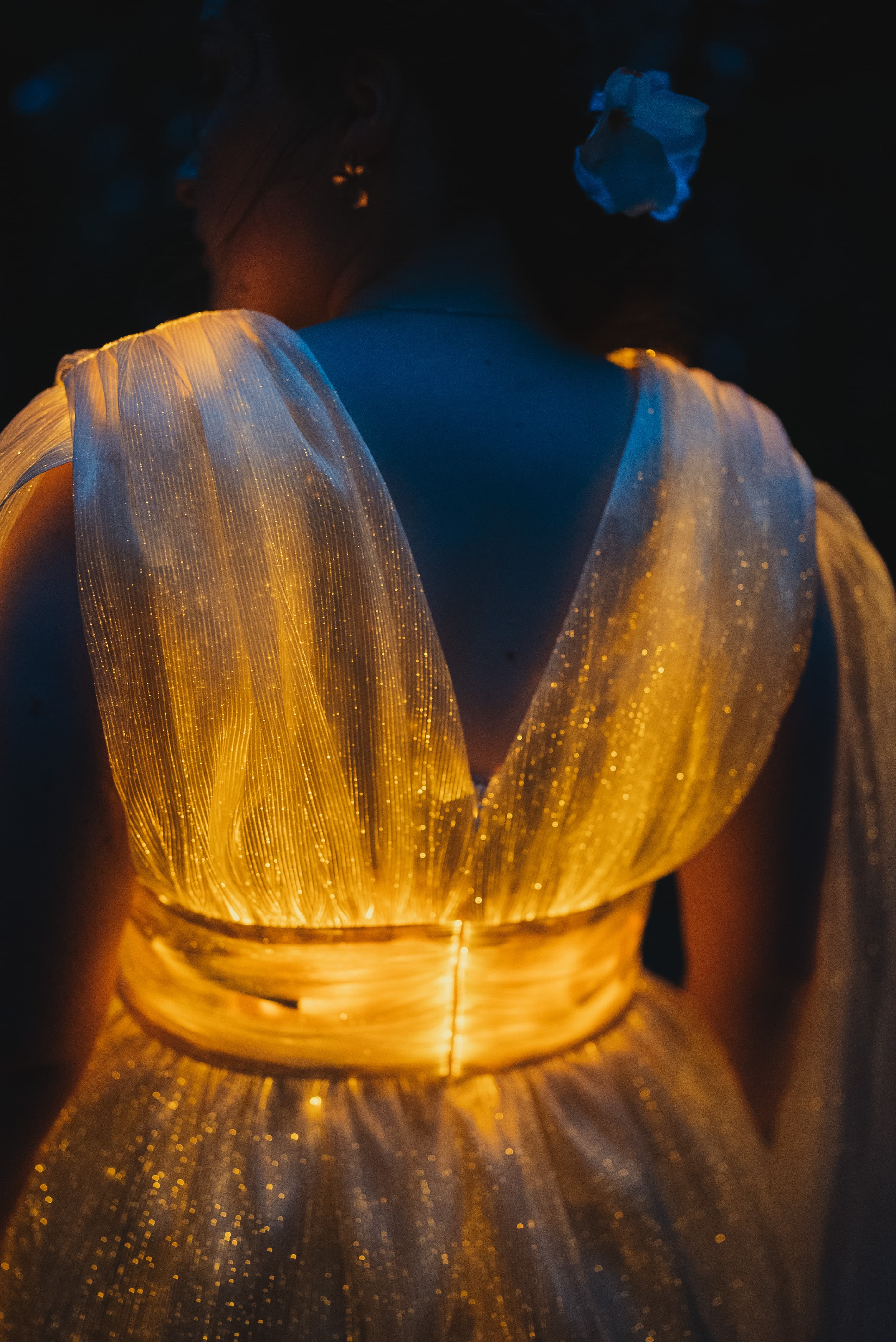 Fiber Optic Dress side